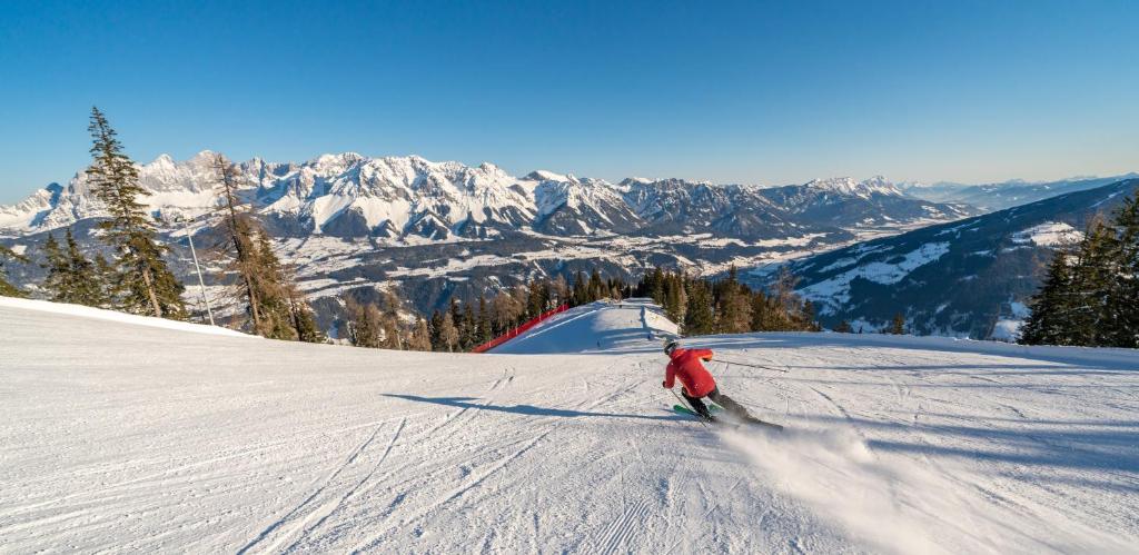 Sports and activities