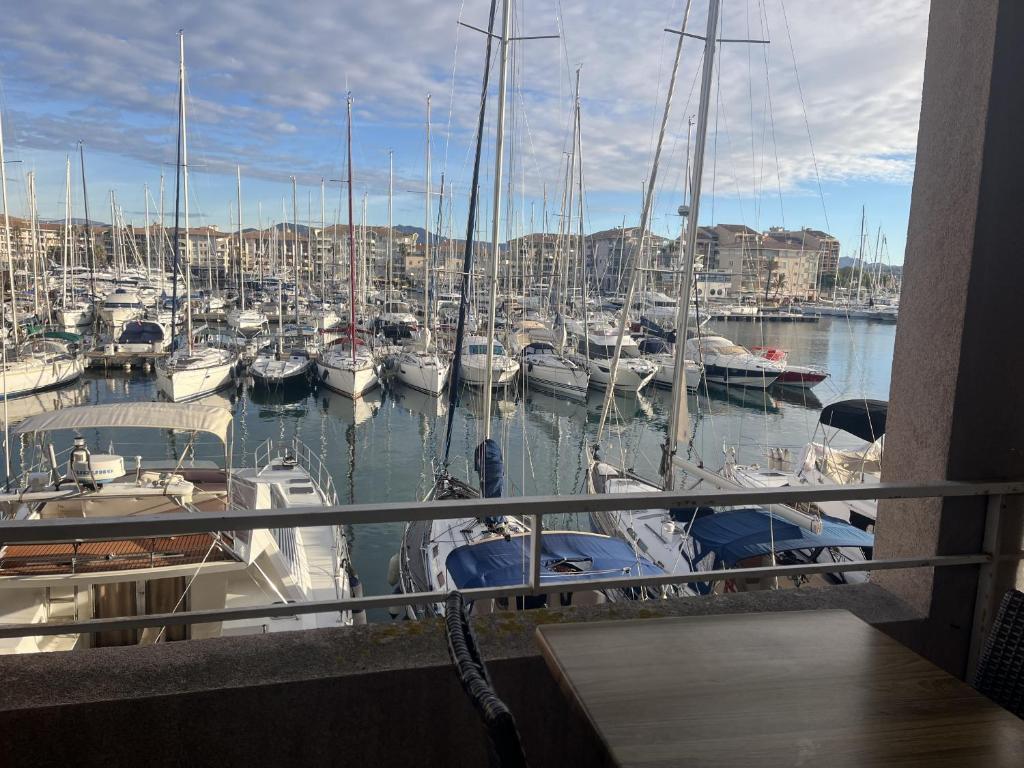 Cap Hermes 107 studio magnifique vue port 3 pers - 1