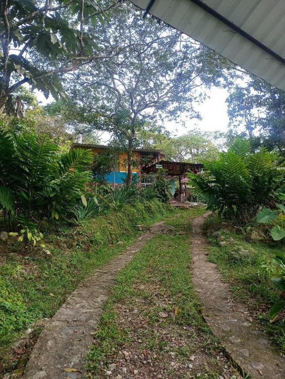 Casa Refugio LA TEBAIDA - 3
