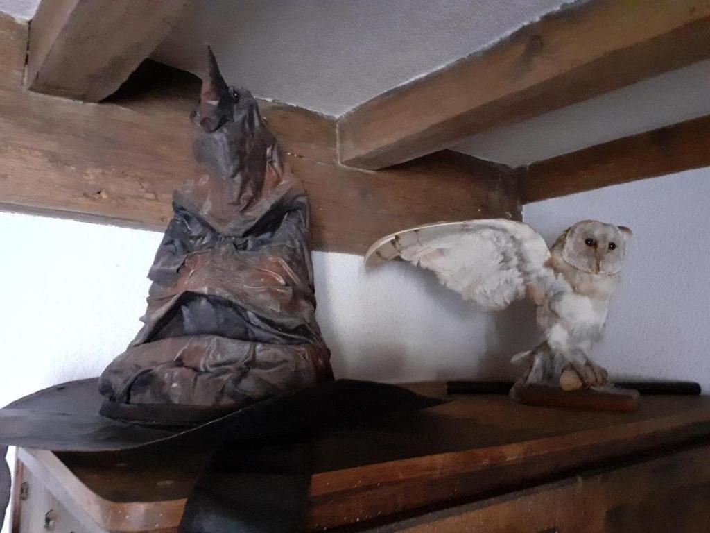 Le terrier des sorciers - 5