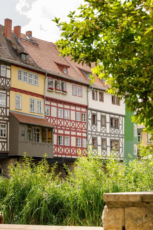 مناطق جذب قريبة