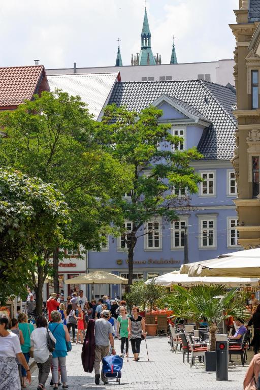 المنطقة المحيطة