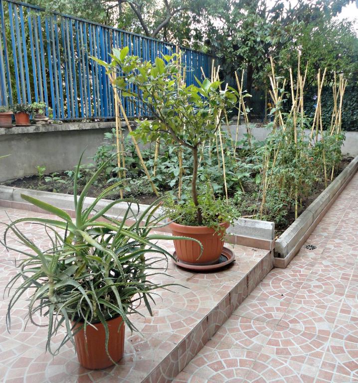 LunaBlu photo