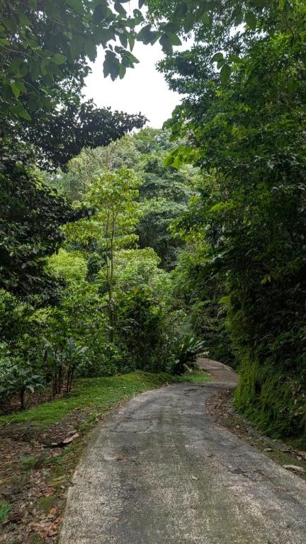 スポーツ/アクティビティ