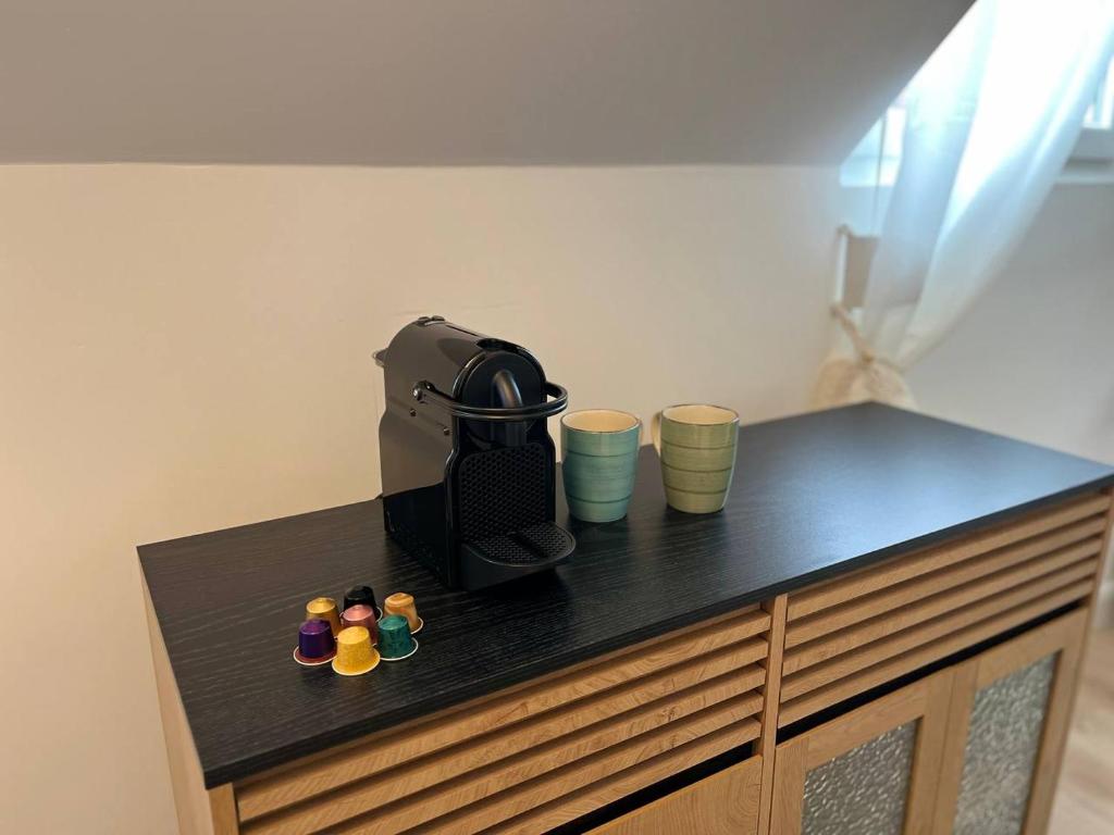 역사적 빌라 전경