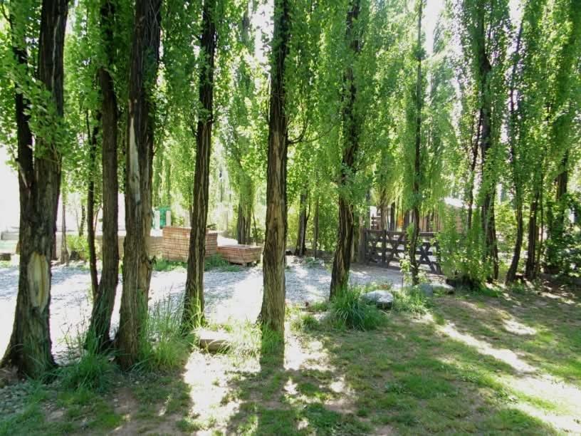 Los Abedules Bungalow - homestay - 2