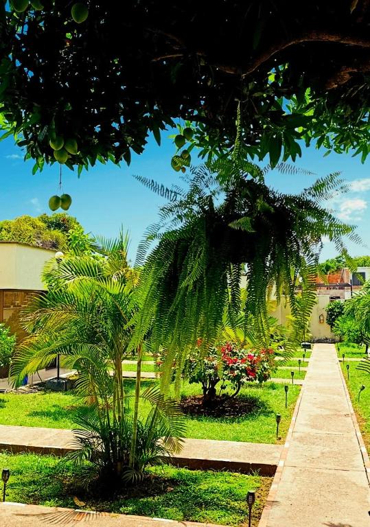 Hotel TACALOA INN EXPERIENCE - 5