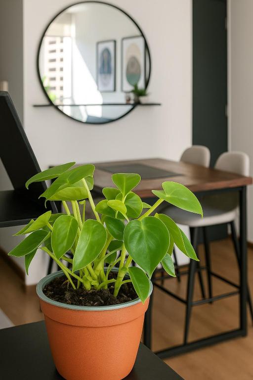 Luxury Loft en el corazón de Providencia - piscina y parking gratis - 4