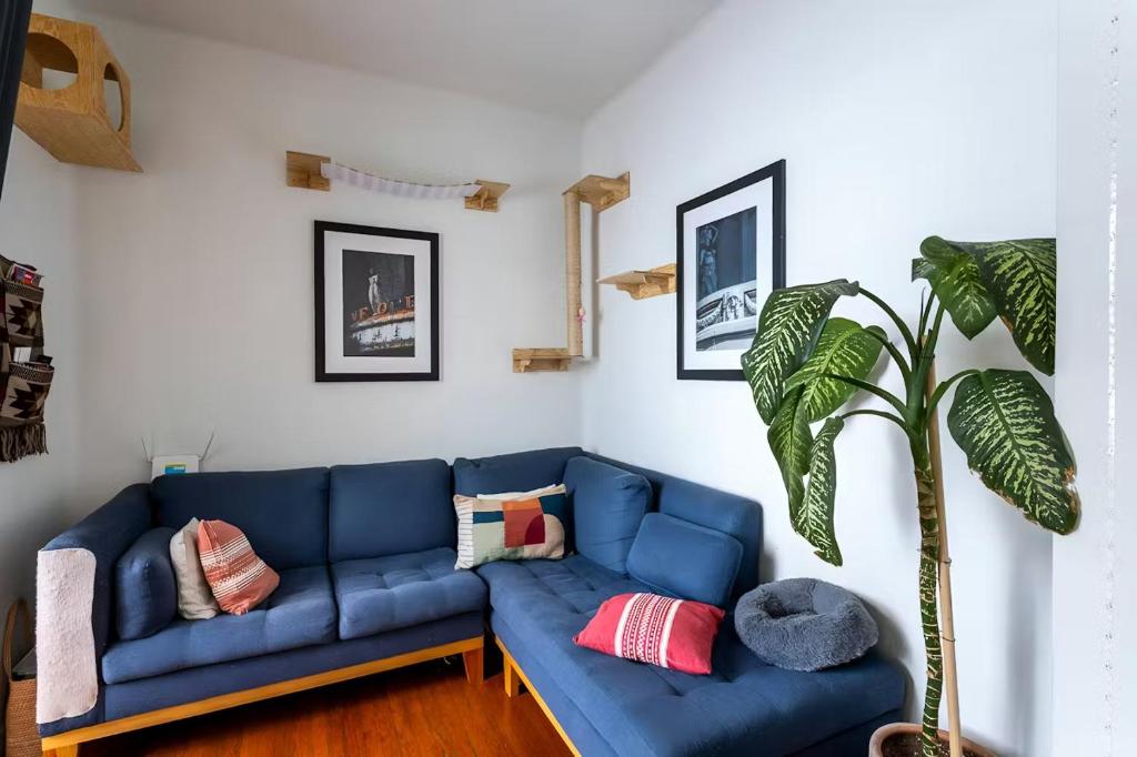 Beautiful, bright room, right on the park - 2