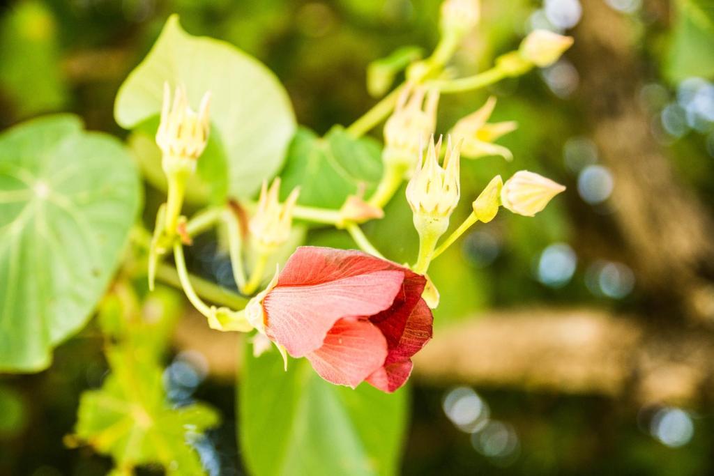 Surrounding environment