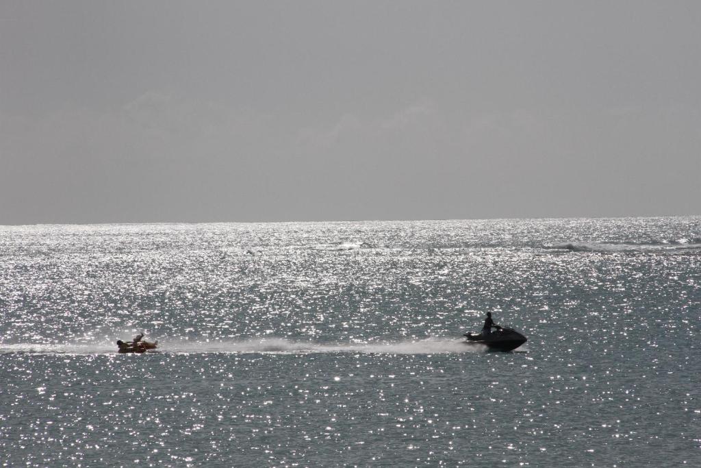 スポーツ/アクティビティ