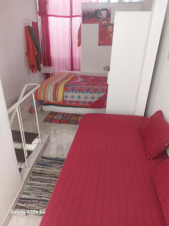 Apartamento tipo loth Alameda - 2