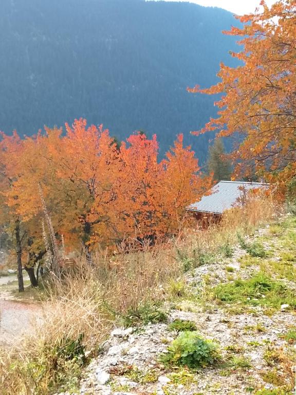 3p montagnard proche activité - 3