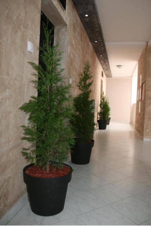 Apartman broj 19 - 2