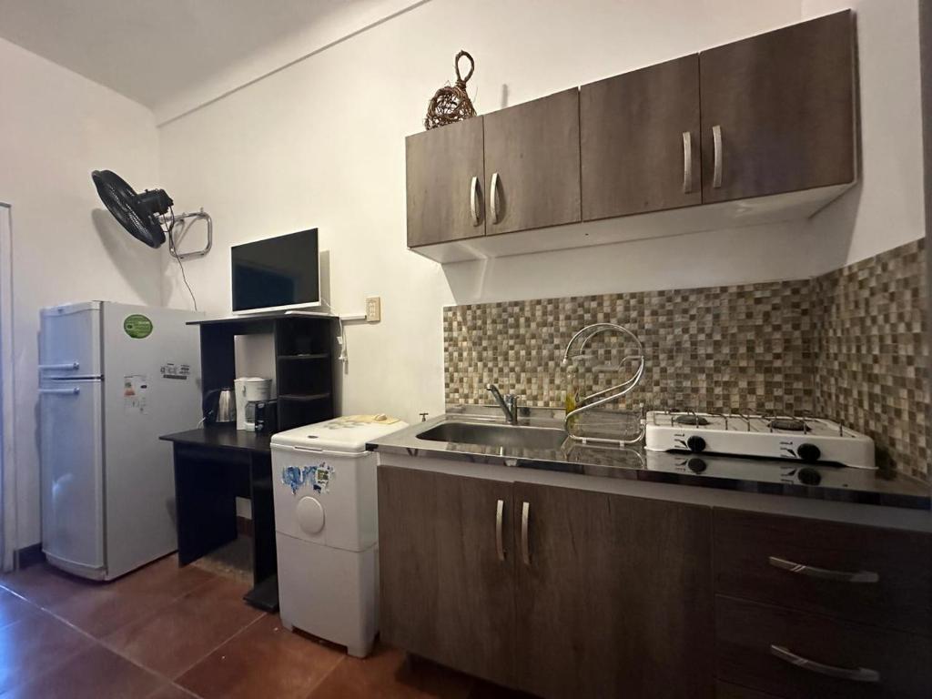 LOS OLIVARES. SAN LORENZO - 3