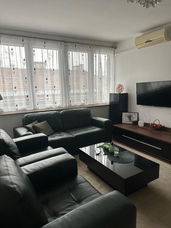 Apartment Cameo - 1