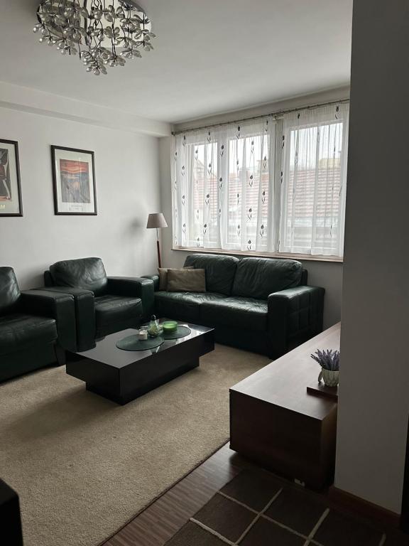 Apartment Cameo - 5