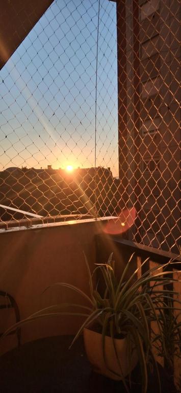 Depto en Plaza Colón - 2