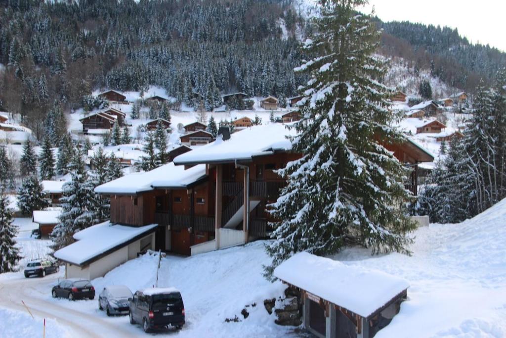 appartement pieds des pistes - 1