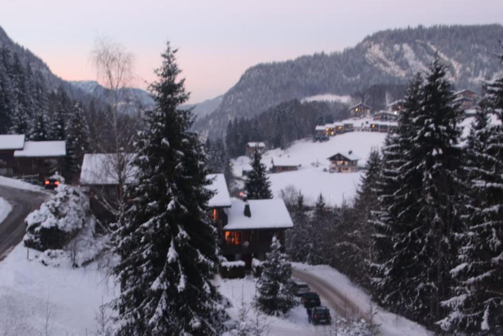 appartement pieds des pistes - 5