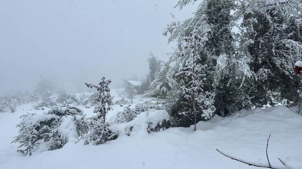Hermosa y acogedora cabaña de montaña - 3