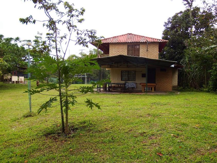 Finca la Albania - 4