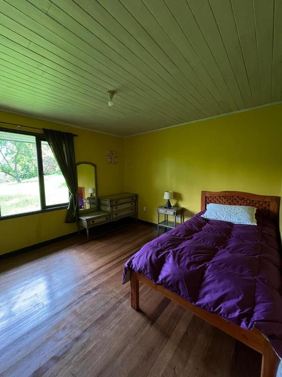 Casa en Panguipulli - 5