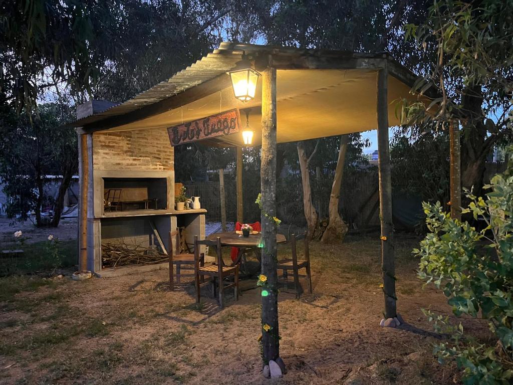 Brotó del fuego - 2