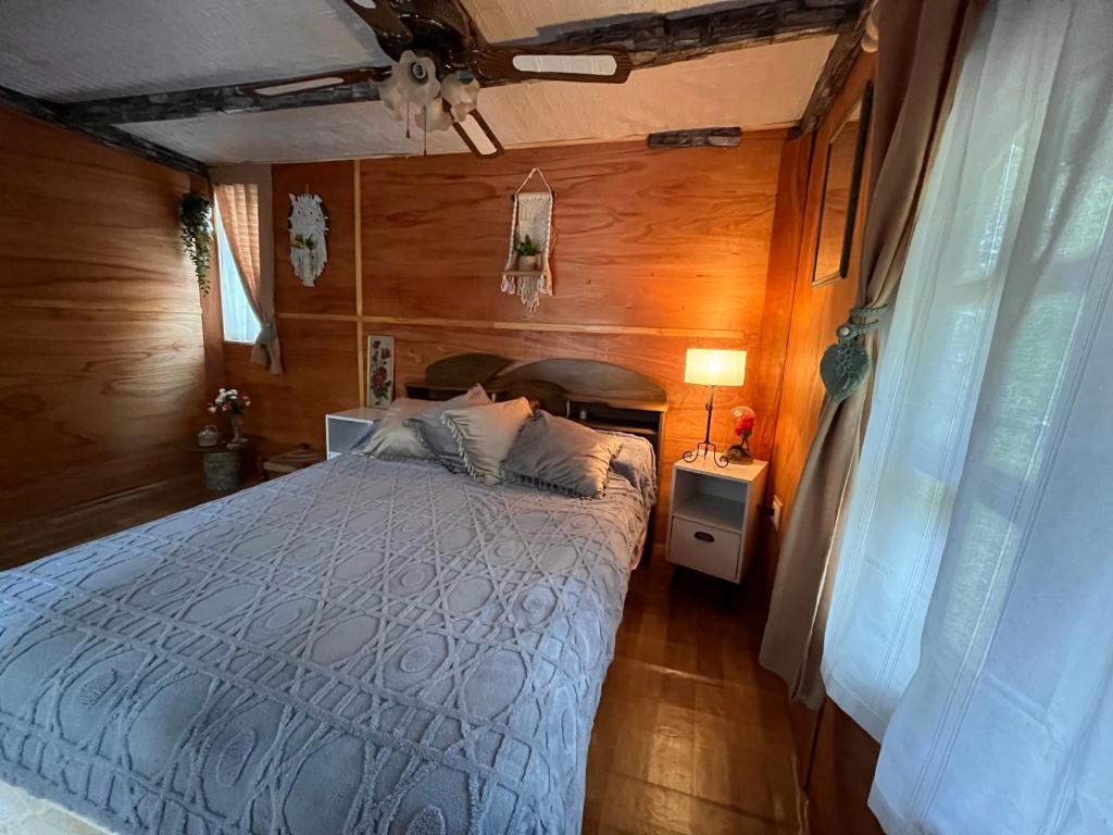 Brotó del fuego - 5