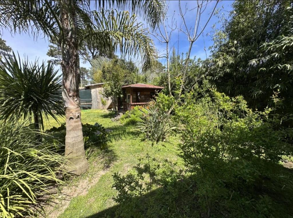 Cómoda casa de 2 dormitorios con amplio jardín - 2