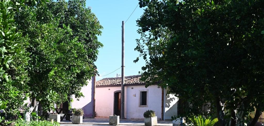 Agriturismo Gli Aranci dell'Etna - 5