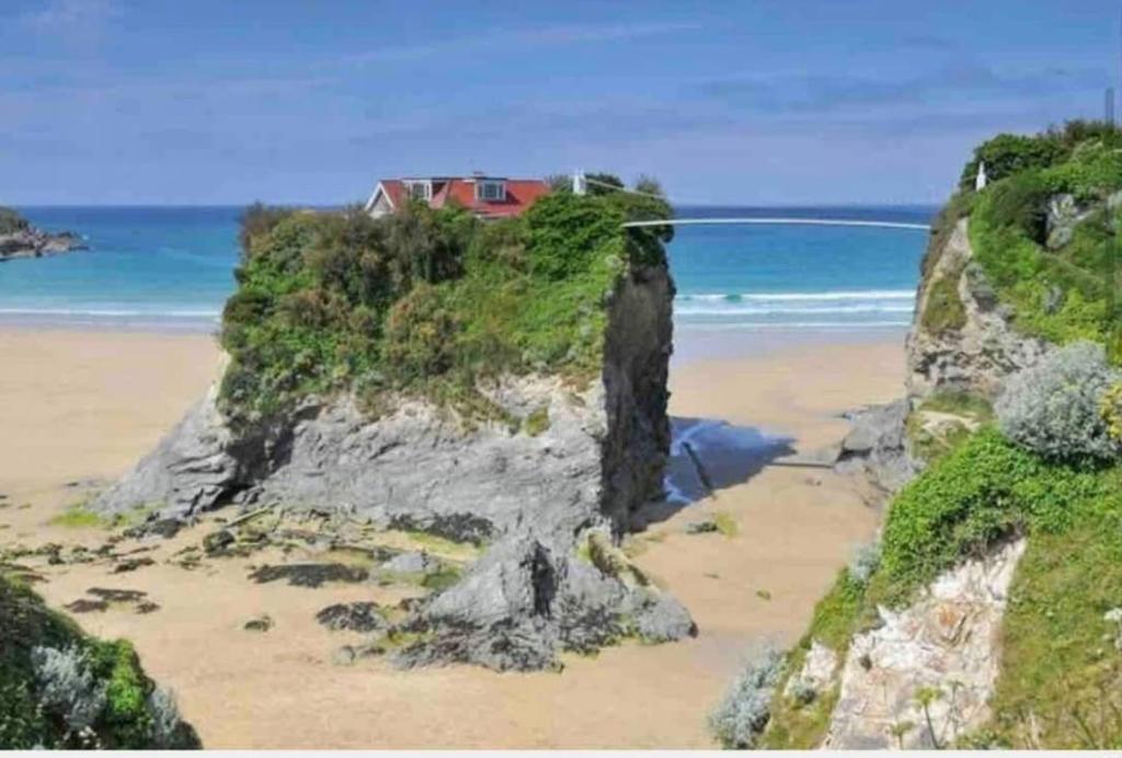 Palms 2, Central Newquay photo 8