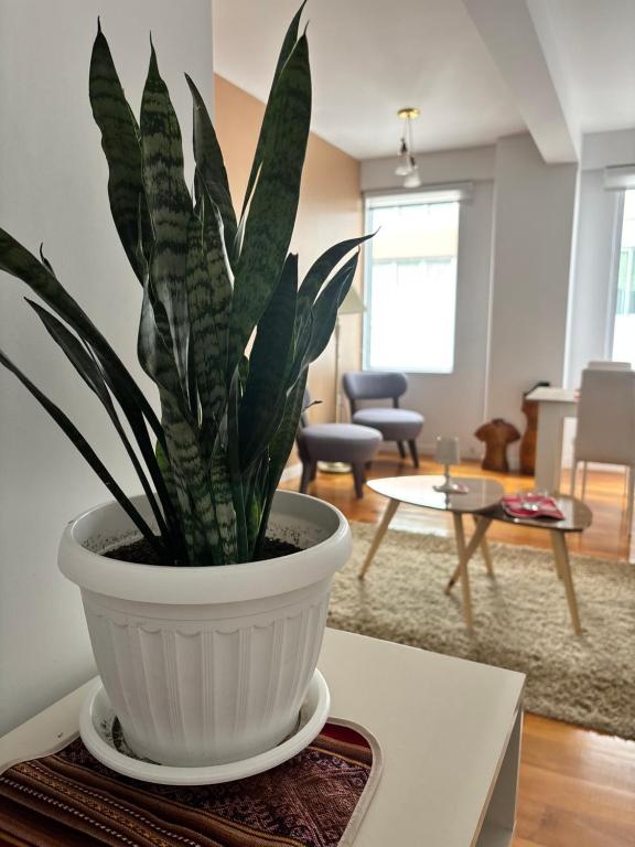 Confortable y lindo Departamento en la mejor Zona - 3