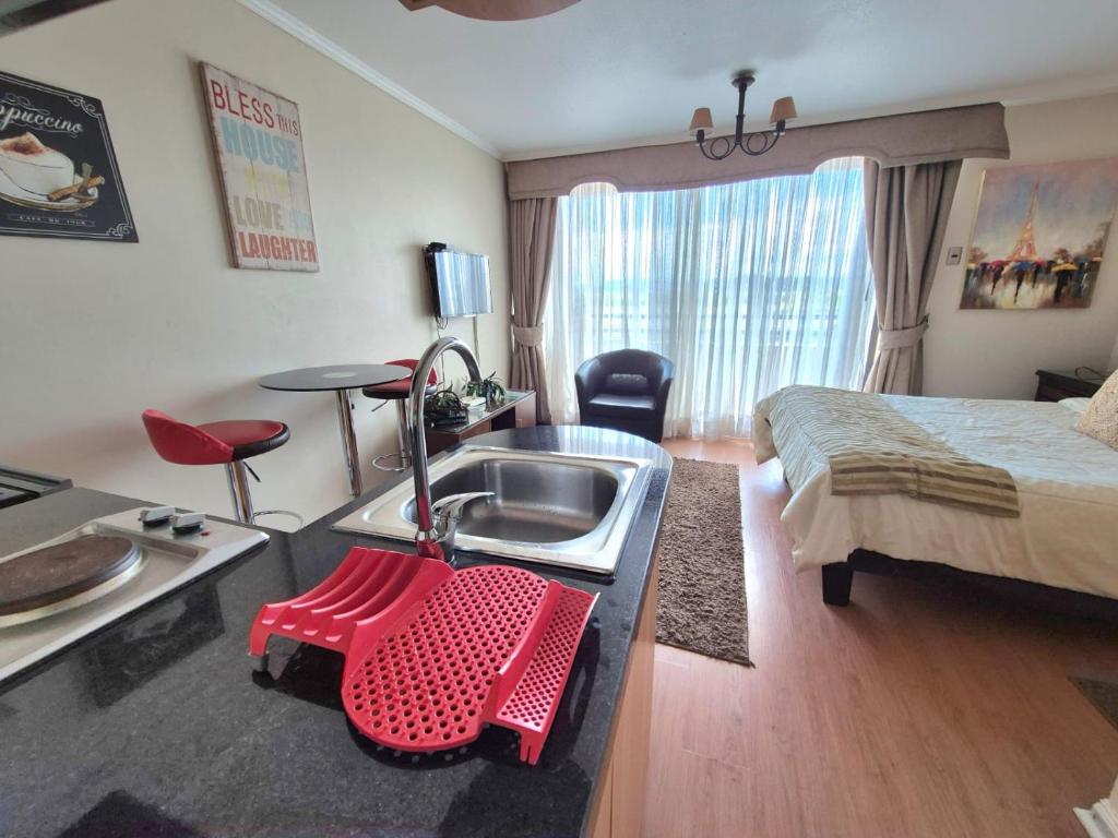 Bello Homestudio frente al Casino Marina del Sol - 5