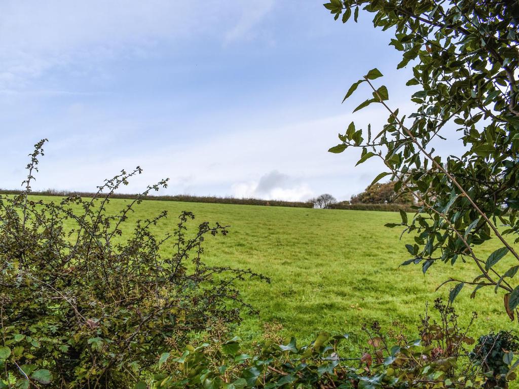 Field View, St Austell photo 8