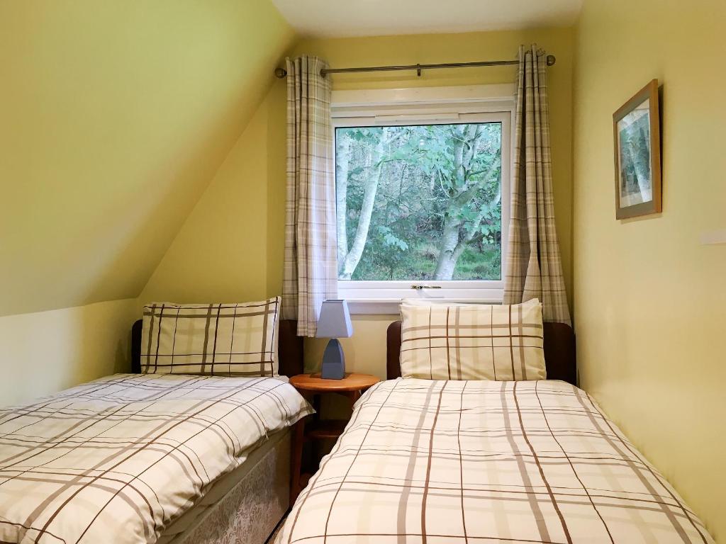 Thistle Lodge, Fortrose photo 8