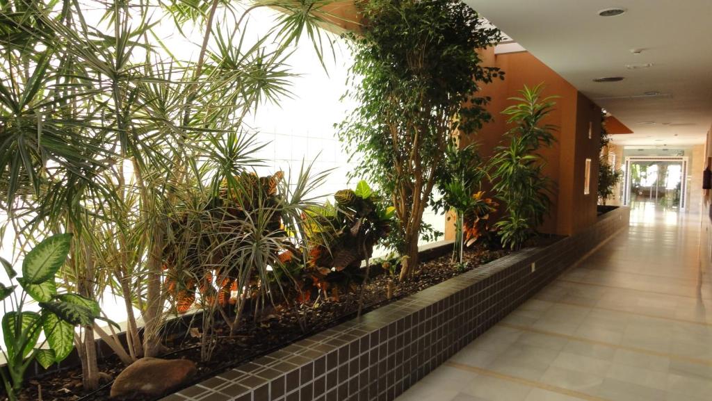 Arena Center — Hotel building in Roquetas de Mar, Andalusia
