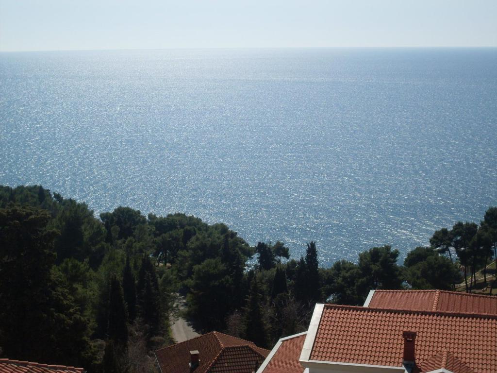 Apartments Popovic - 3