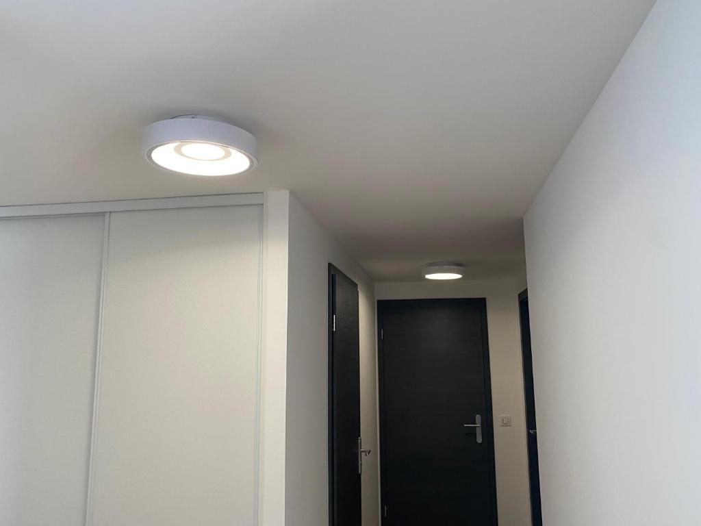 appartement ajaccio - 4