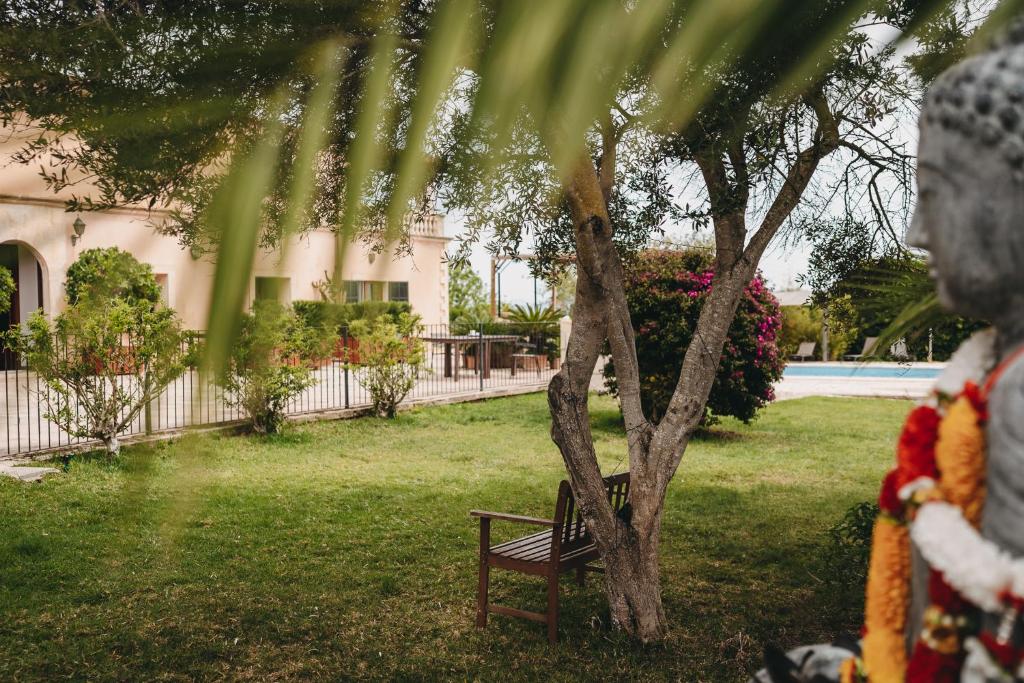 Ayurvila Wellness Retreat - 2