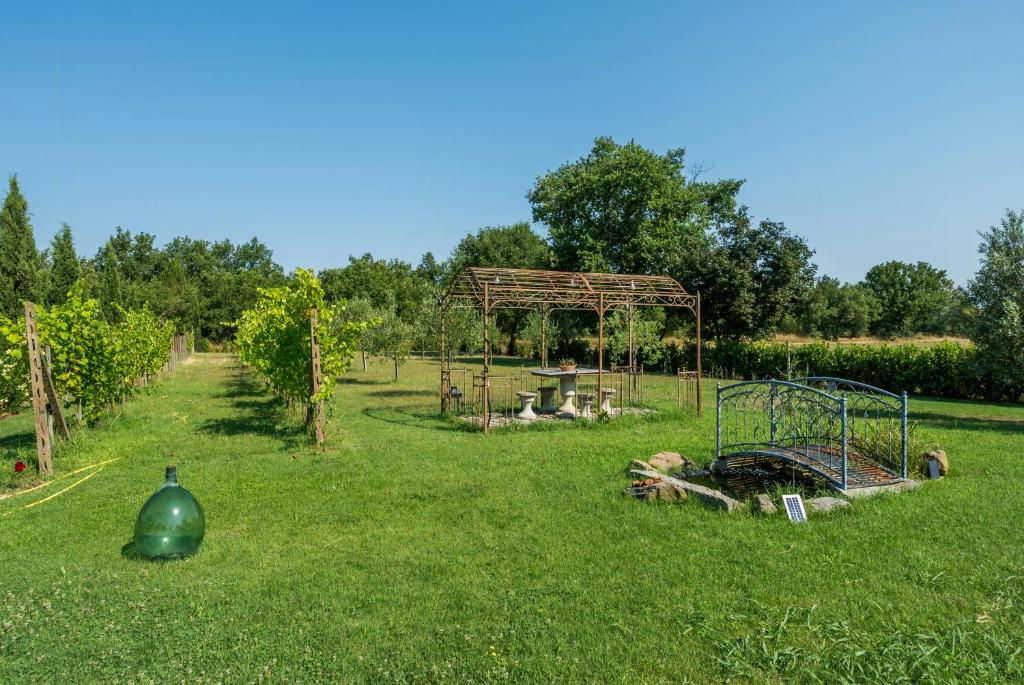 Private Villa With Pool On Cortona Vineyards - 2