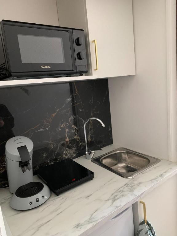 Centre Amelie les Bains New Palmarium studio avec climatisation et parking - 5
