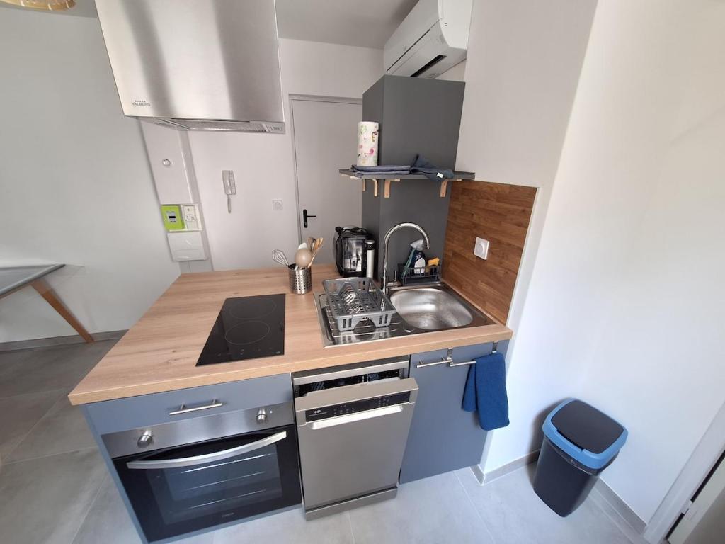 Studio 29 m2 Le Péage de Roussillon - 1
