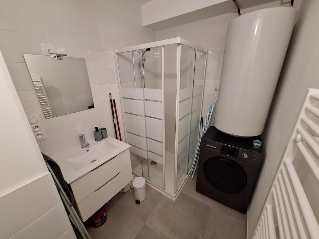 Studio 29 m2 Le Péage de Roussillon - 3