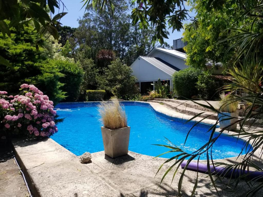 Casa Boulevard 100 - 1