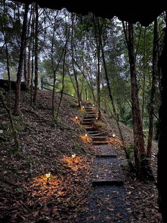 Casa Yaku-Lujo natural Río privado y Jacuzzi - 5