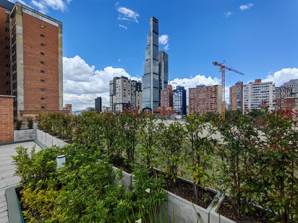 Bogotá centro historico Lujo y cultura - 2