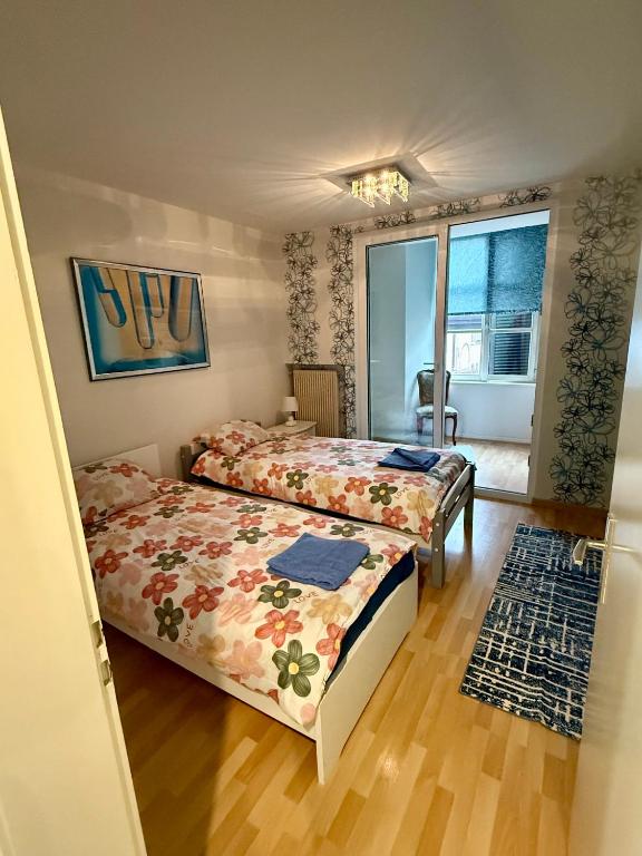 Petit Paradis 74 grand rue - 5