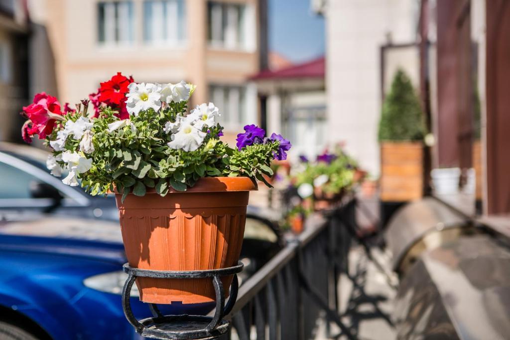 Lazurny Bereg Hotel photo