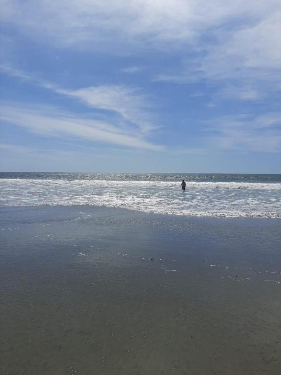 Seaside Garden Ecolodge Mompiche - 4